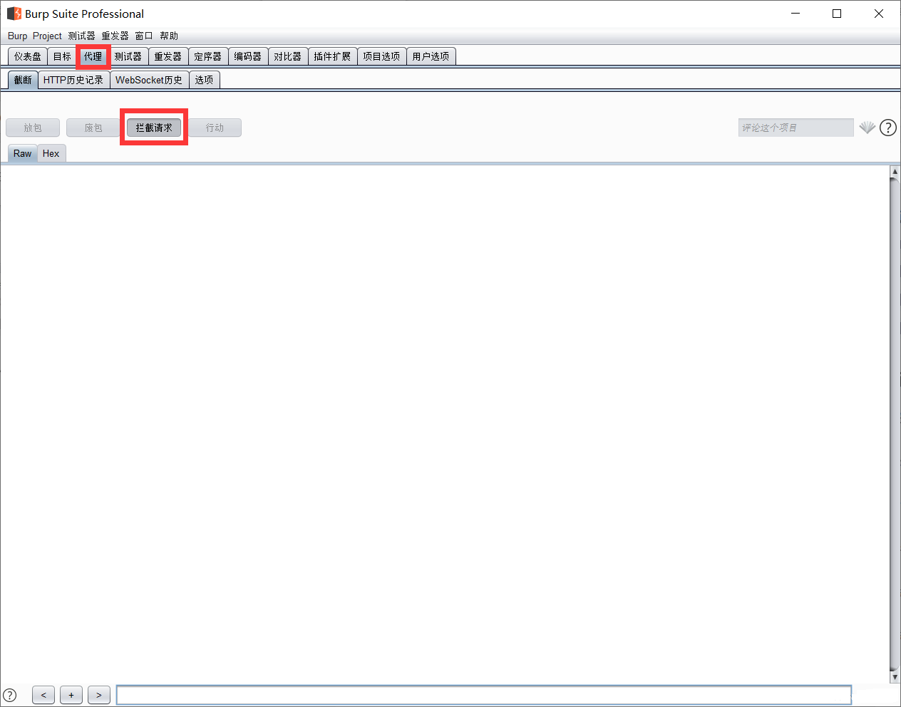 burp suite professional 2024中文完整版运行截图