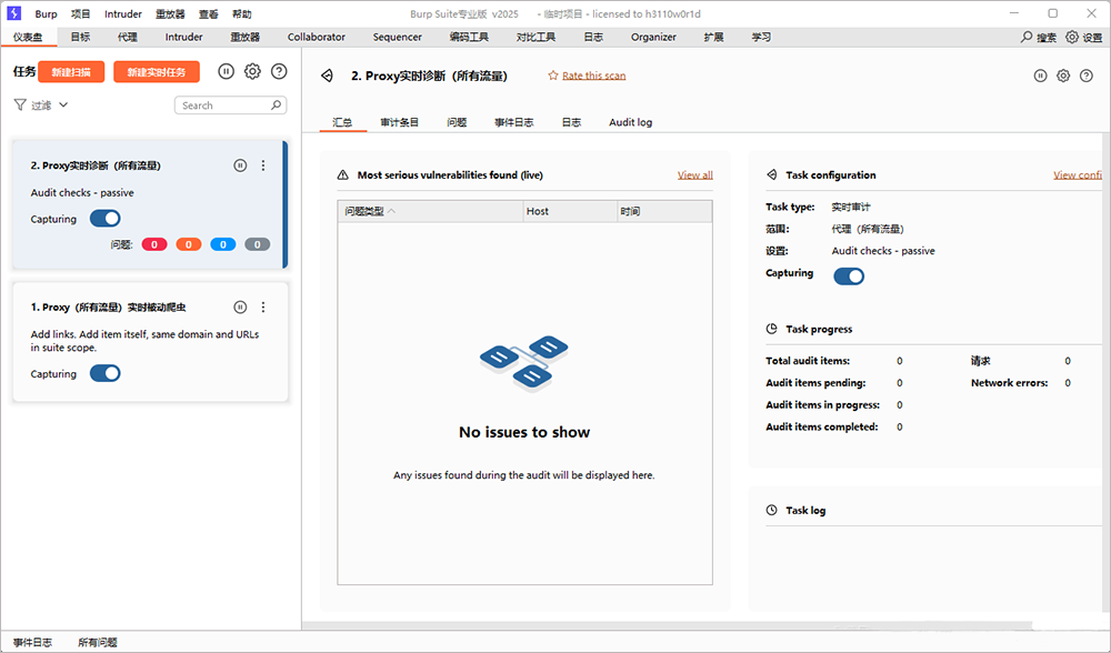 Burp Suite 2025汉化版运行截图