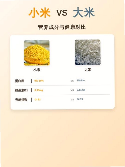 大米和小米运行截图