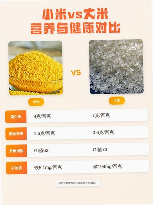 大米和小米运行截图