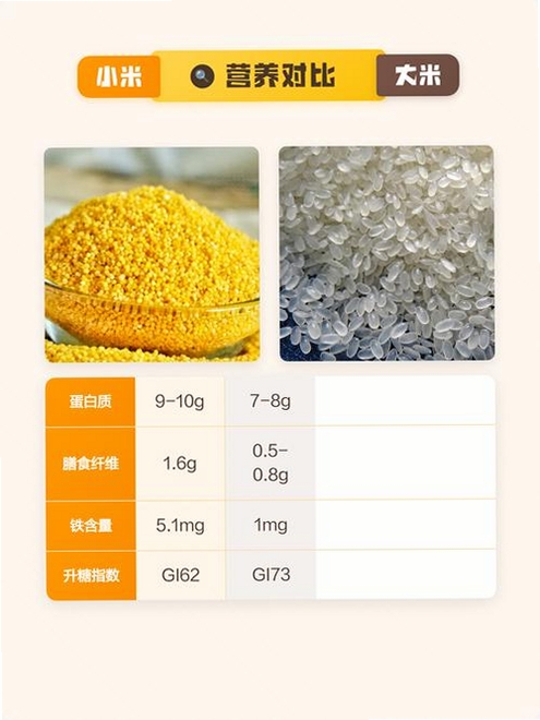 大米和小米运行截图