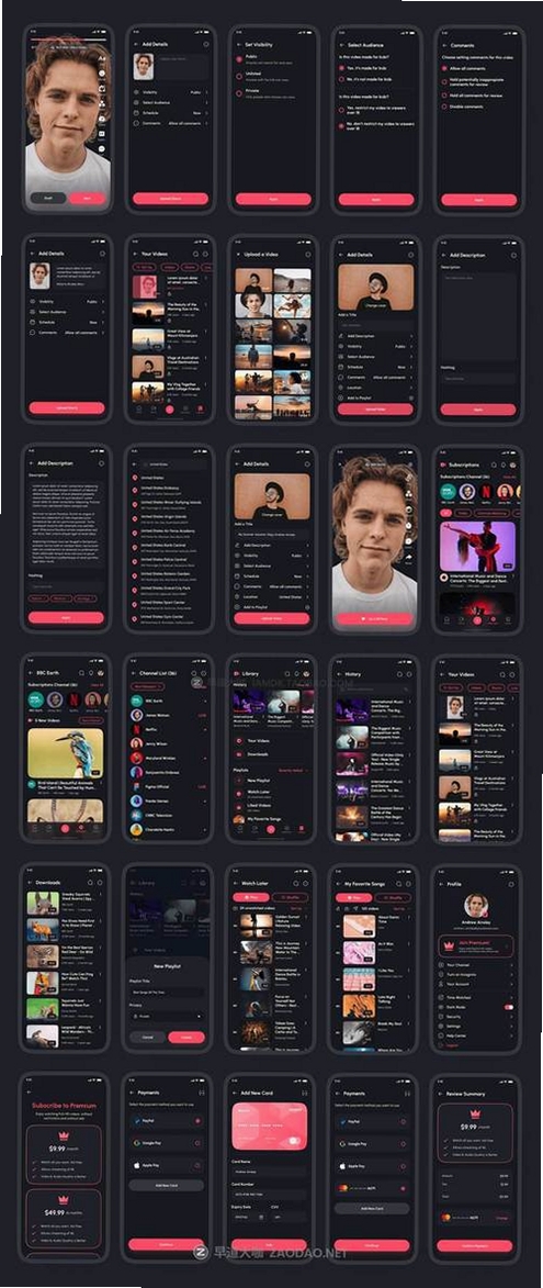 VideoParse运行截图