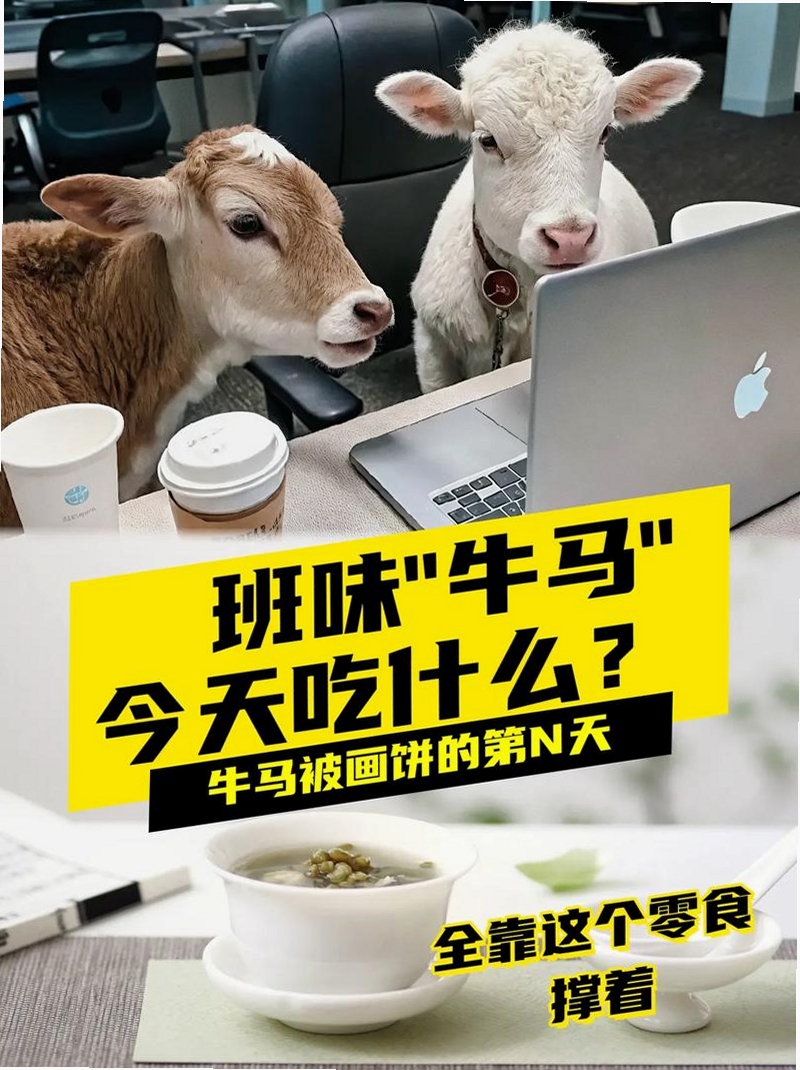牛马日志运行截图