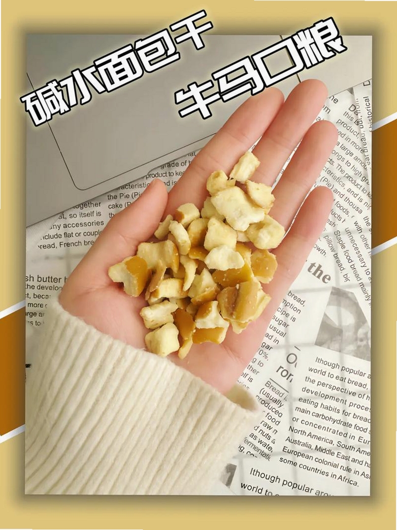牛马日志运行截图