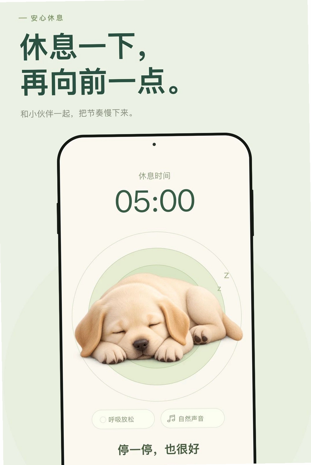 专注小窝运行截图