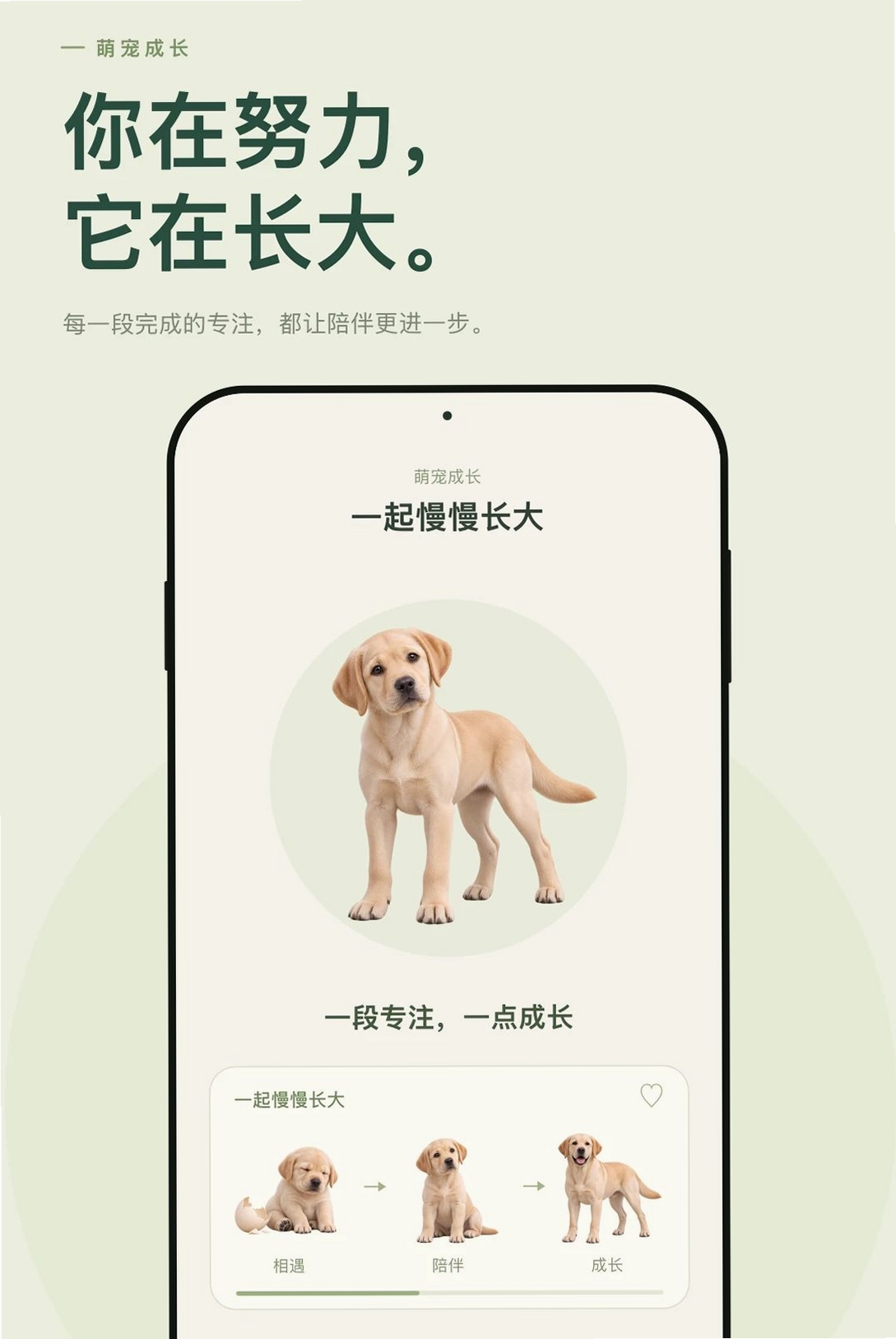 专注小窝运行截图