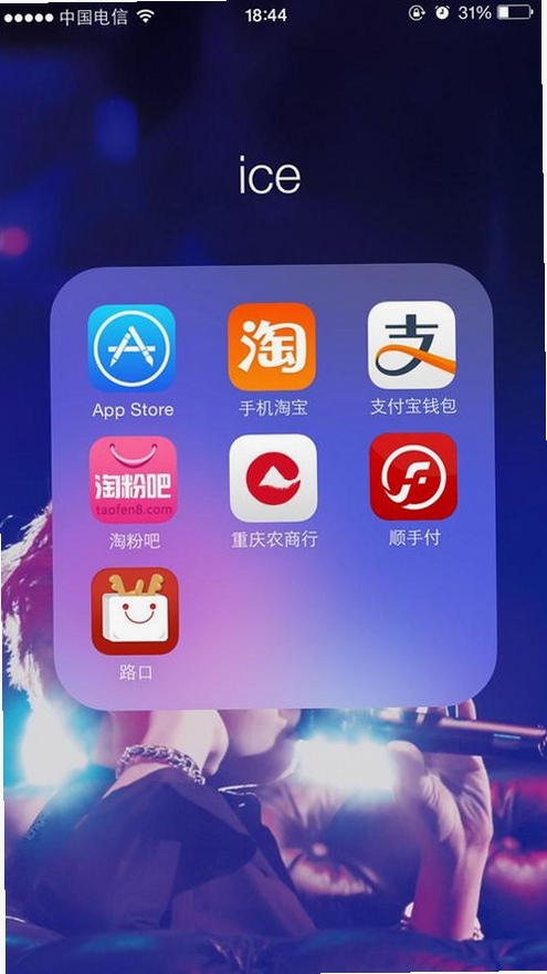 忠小狮运行截图