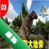 ��̳Android