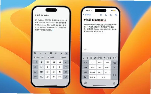 MarkdownH运行截图