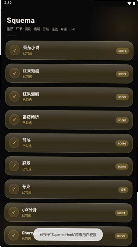 Squema Hook运行截图