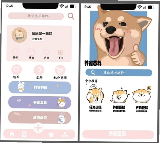 ds桌宠运行截图
