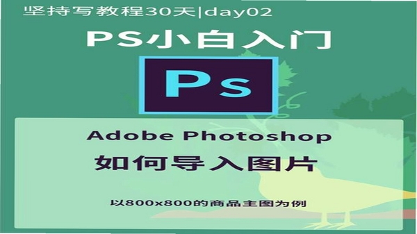 织作 使用教程 图解导入