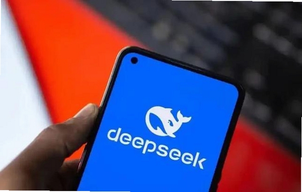 DeepSeek Agent Terminal运行截图