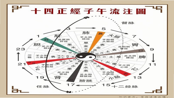 知午子午流注 使用教程