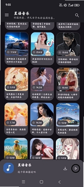 星语音乐(XingyuMusic)运行截图