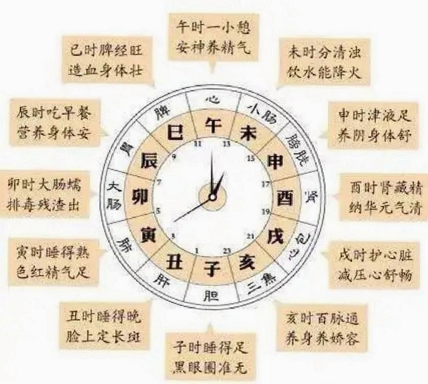 知午子午流注运行截图