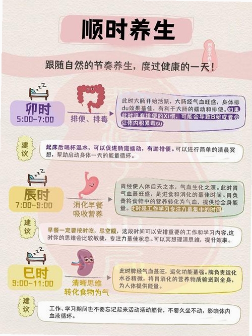 知午子午流注运行截图
