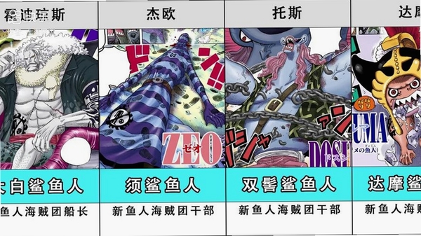 海贼王海洋盛宴游戏角色图鉴