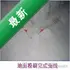 �γ̱�_CHD
