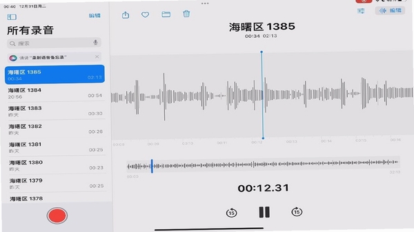 EchoX 回声 录音 效果 截图