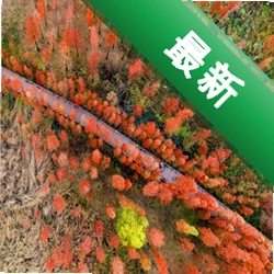 Clearflow Nextv13.6.0.r1091.b844bc49.cf11 网络浏览