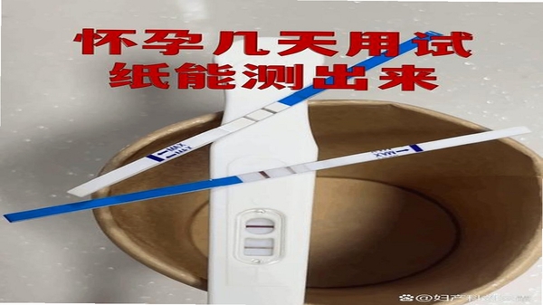 天测 检测结果界面