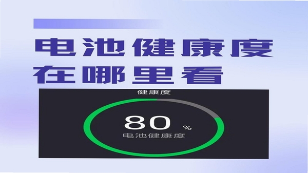 Pixel 8 Battery Health 电池健康界面截图