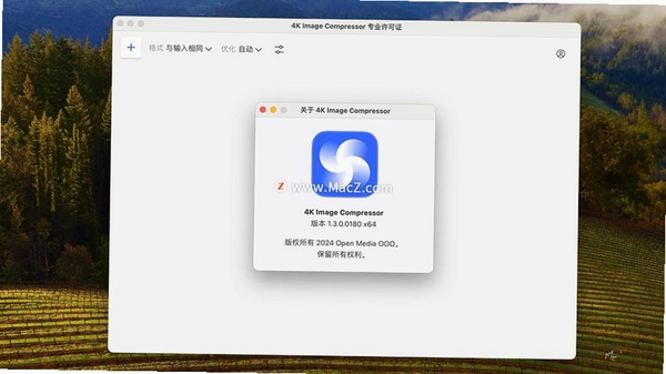 Image Compressor运行截图