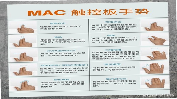 ViiTor Memo 功能操作演示图