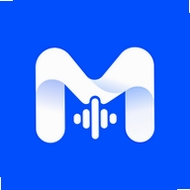 ViiTor Memo运行截图