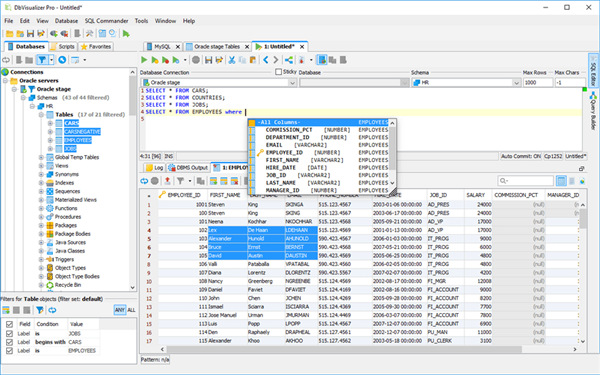 DbVisualizer 26.2.4中文完整版运行截图
