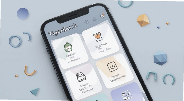 TigerDuck 软件功能界面展示图,画面主体为手机屏幕特写,屏幕内呈现卡片式功能模块排列,背景为柔和的浅灰蓝色调,周围点缀少量几何装饰元素,整体视觉干净利落