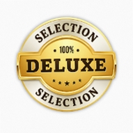 Deluxe Stores运行截图