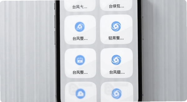 台风眼软件主界面截图风格概念图,手机屏幕显示多个圆角功能卡片整齐排列,卡片带淡蓝色图标与简短文字标签,背景为浅灰磨砂质感,光线柔和,体现轻量整合与快捷入口的设计理念
