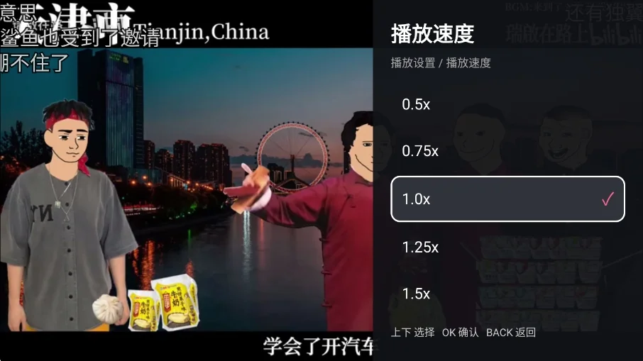 blblzd兼容版tv版运行截图