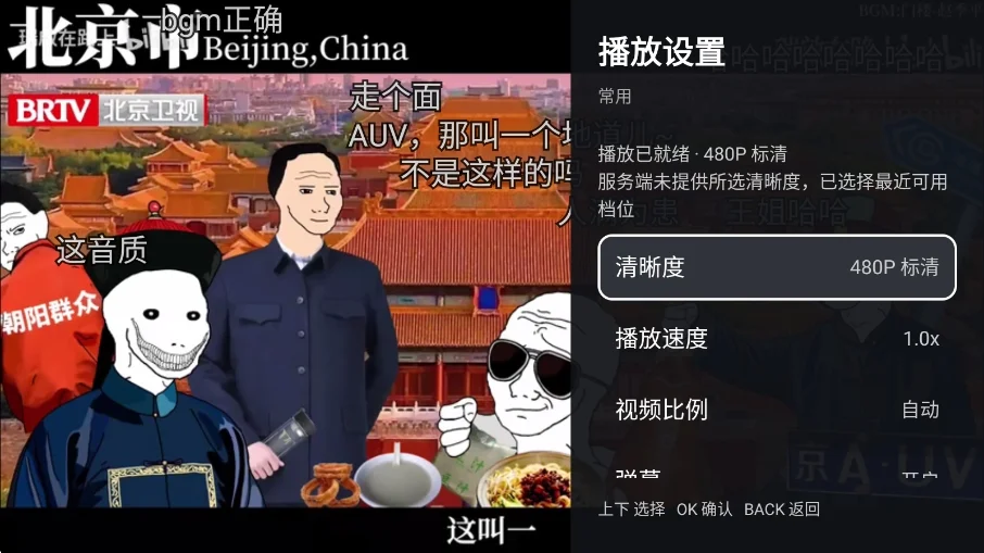 blblzd兼容版tv版运行截图