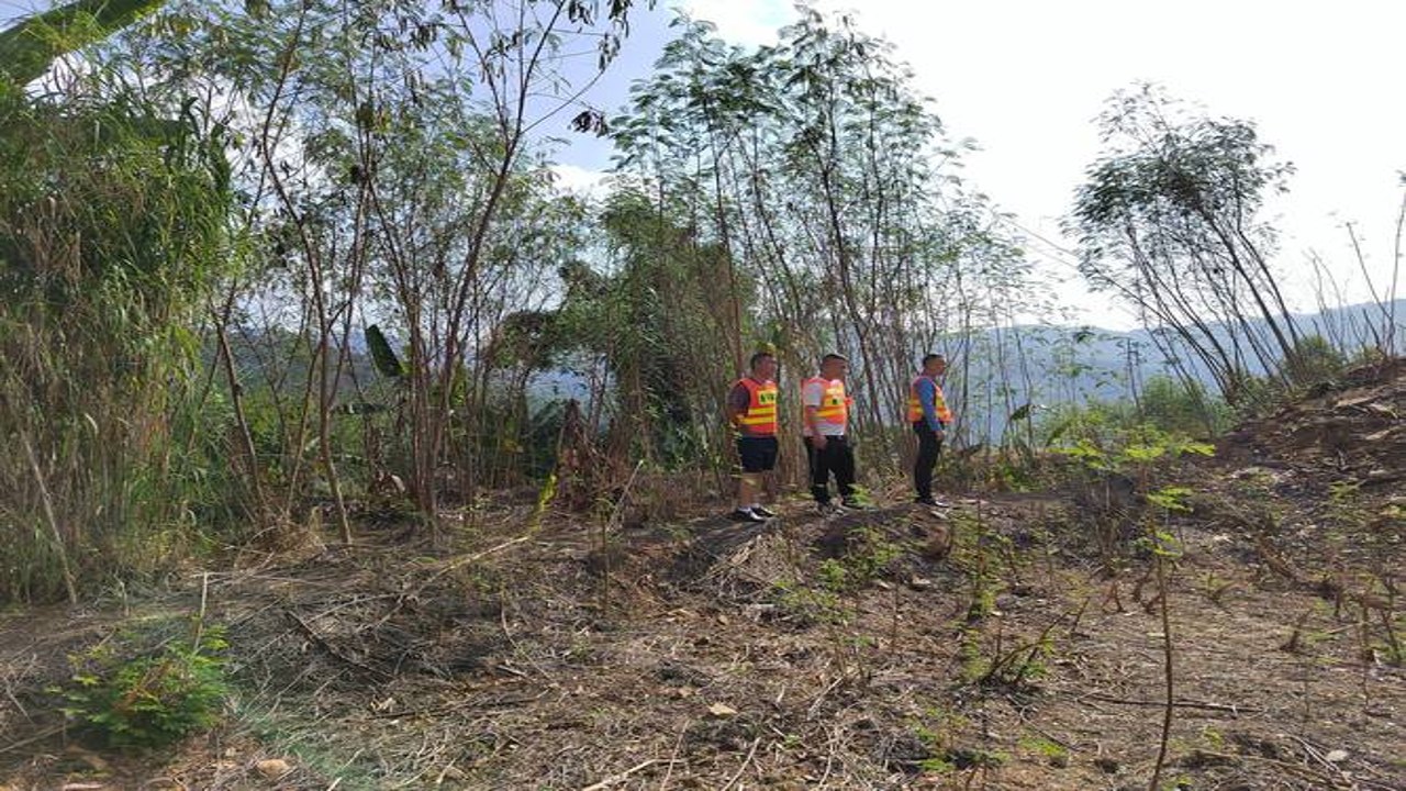 大明山巡护 生态监测 植被保护 防火检查