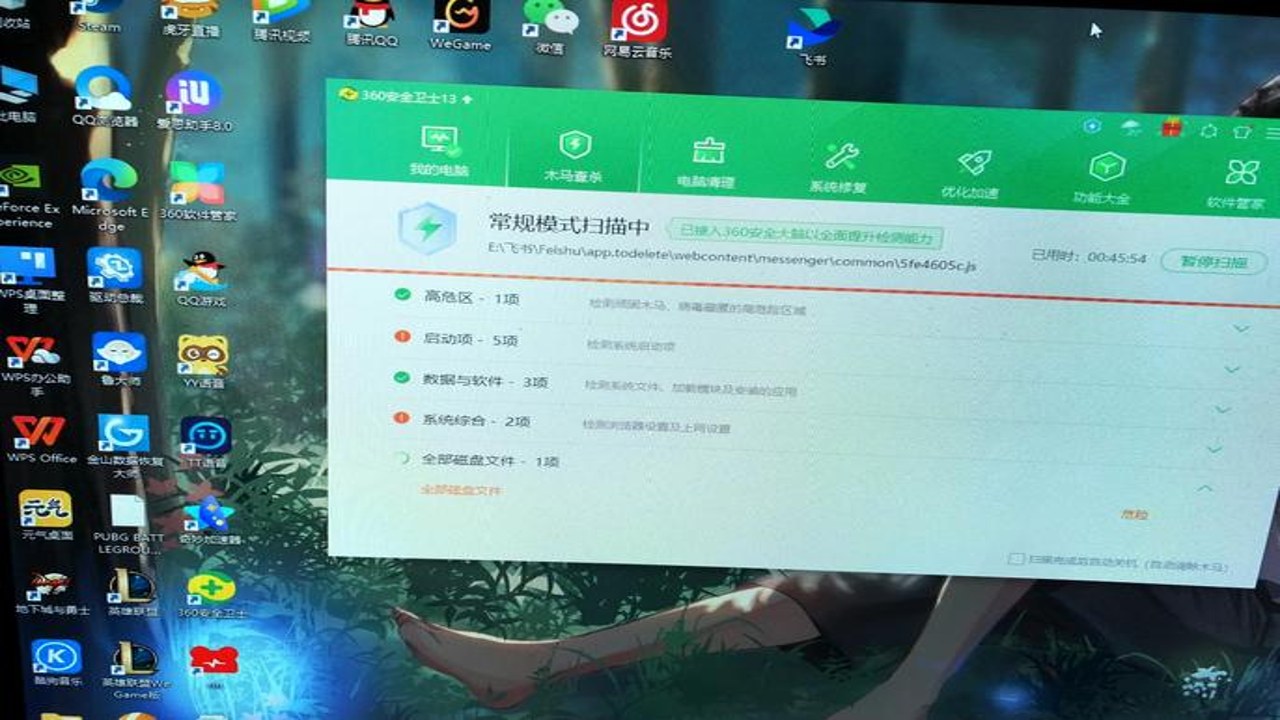 Norton 360软件25中文最新版扫描结果示例