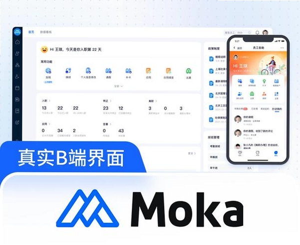Moka运行截图