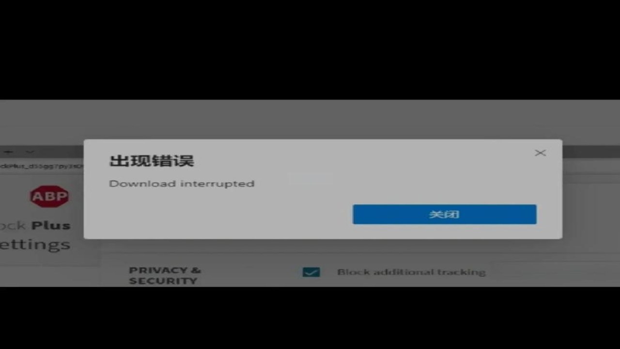 ContinueBrowser 插件加载失败排查