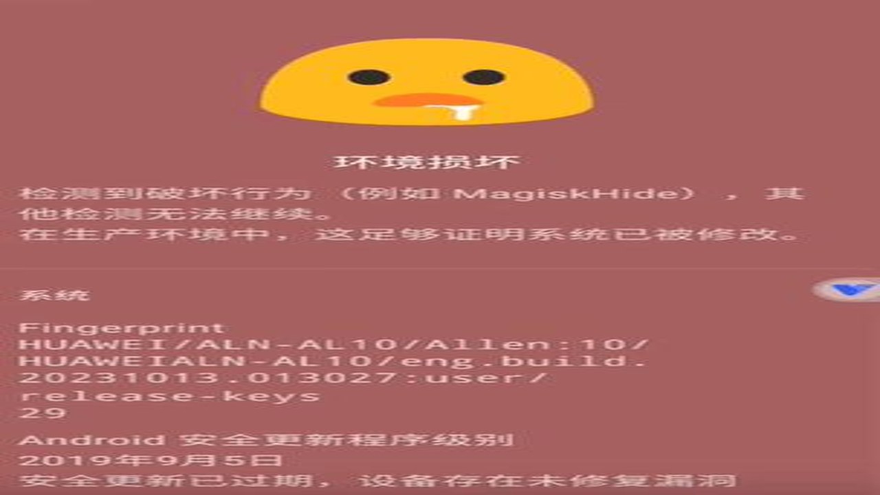 Launch环境检测下载最新版扫描结果示例