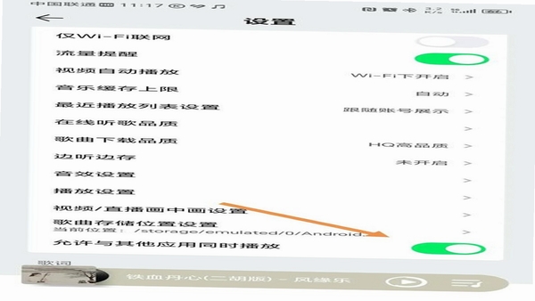 localplayer 安卓播放器设置界面