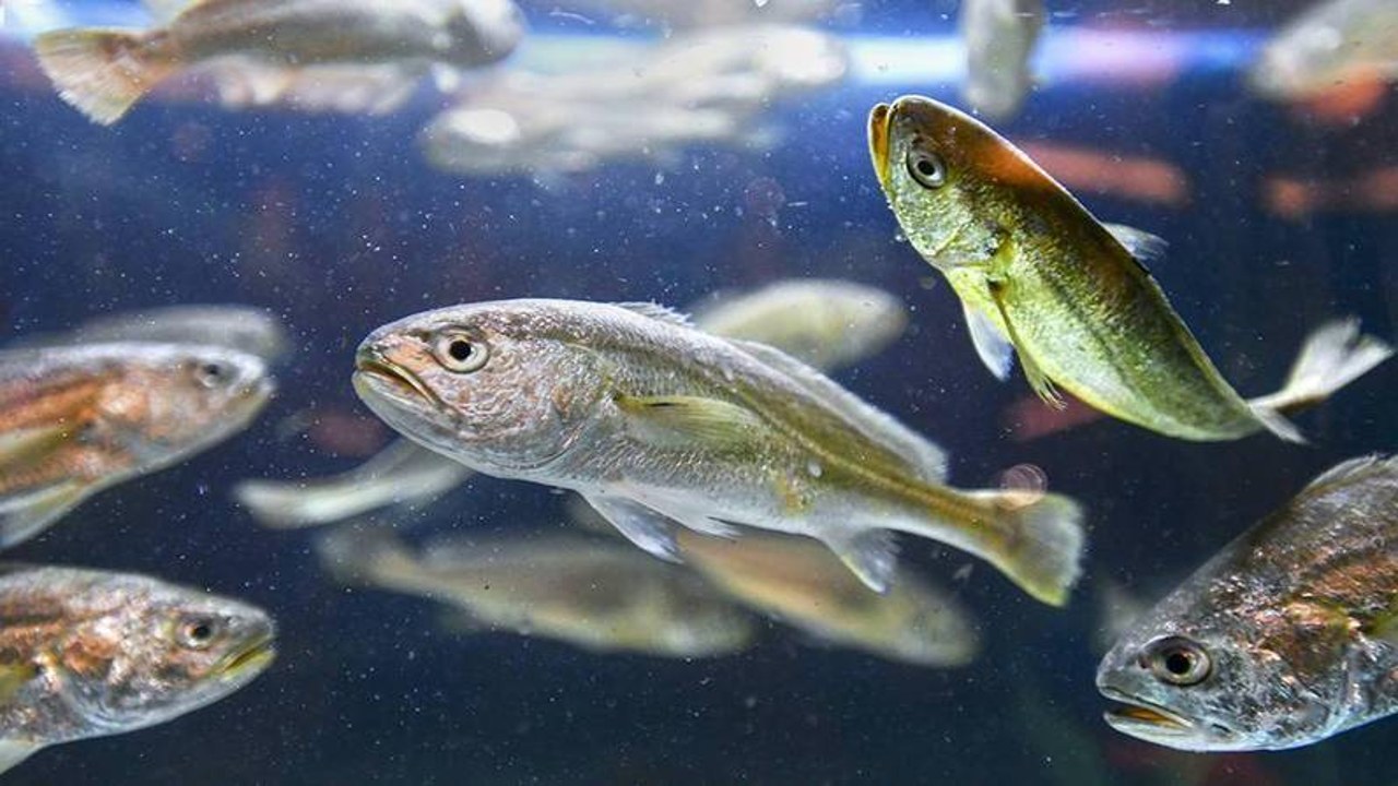 С������ֳȫ����ʵ�ļ��г��۸�����ͼ��