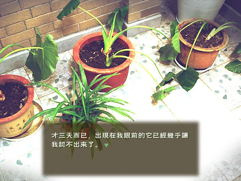 绿噩 pc版 v1.0.0