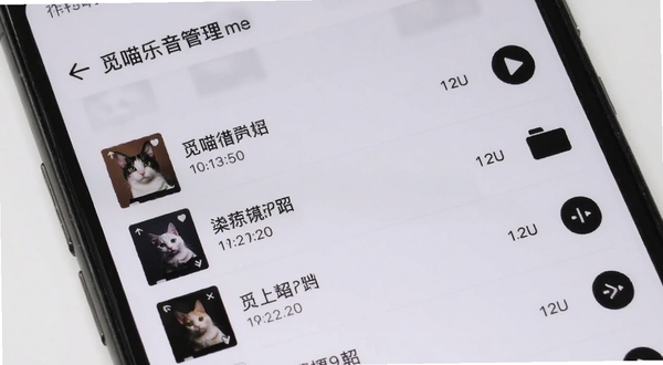 觅喵音乐本地音乐管理界面,手机屏幕特写,列表中显示歌曲名称与时长,右侧有播放按钮,背景为淡灰色,画面干净利落,突出文件管理功能