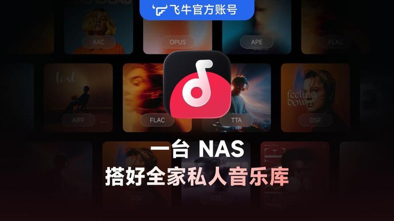 飞牛音乐 NAS界面