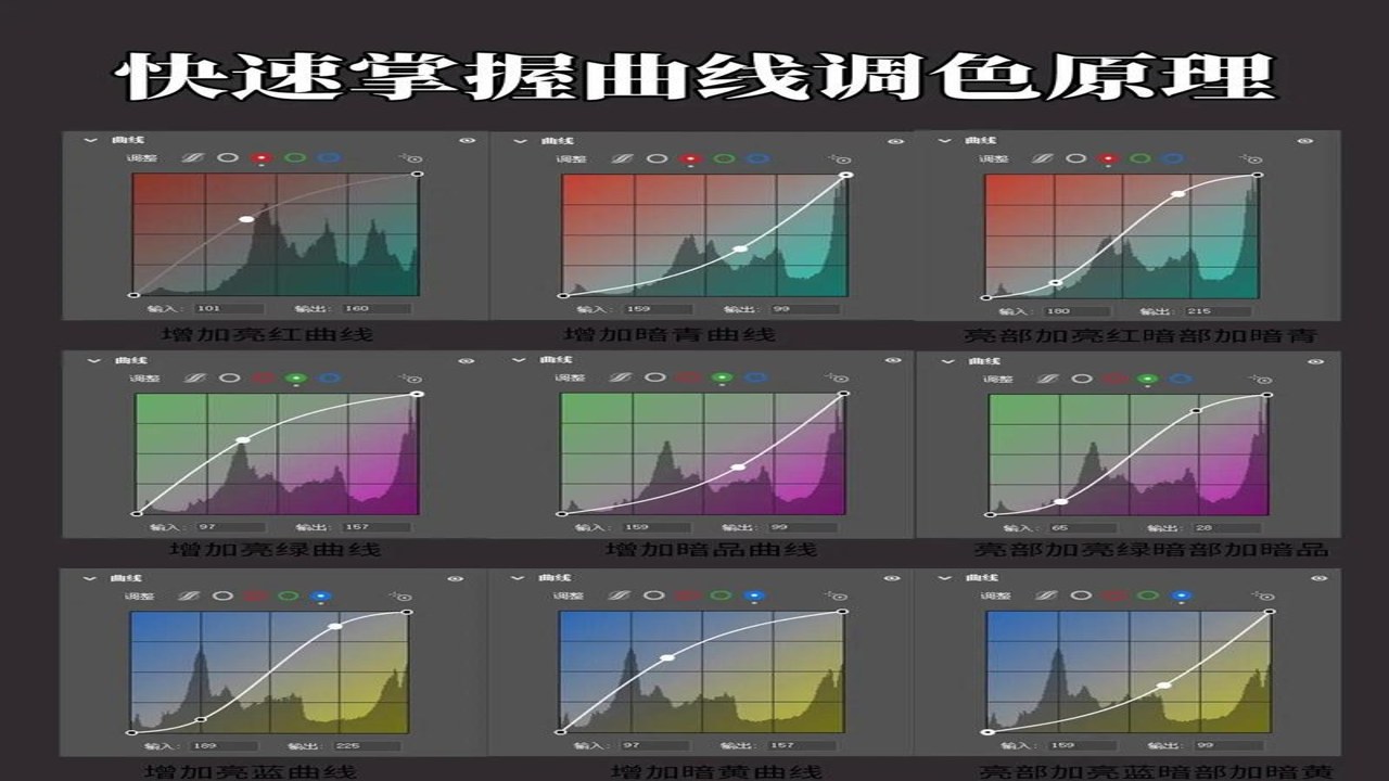 粒子工具颜色随时间变化曲线设置