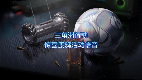 渡鸦语音盒常见问题解决