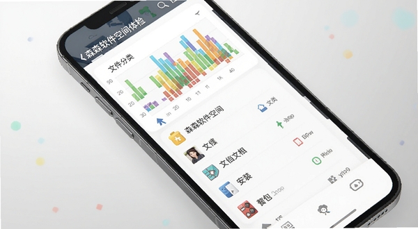 森森软件空间体检界面,手机屏幕展示彩色条形统计图与文件分类列表,图片视频文档安装包分类清晰,背景为浅灰渐变,界面元素简洁现代,突出存储整理主题