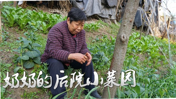 奶奶的小菜园运行截图